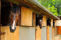 free Sholing Common stable construction quotes